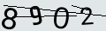 verifycode